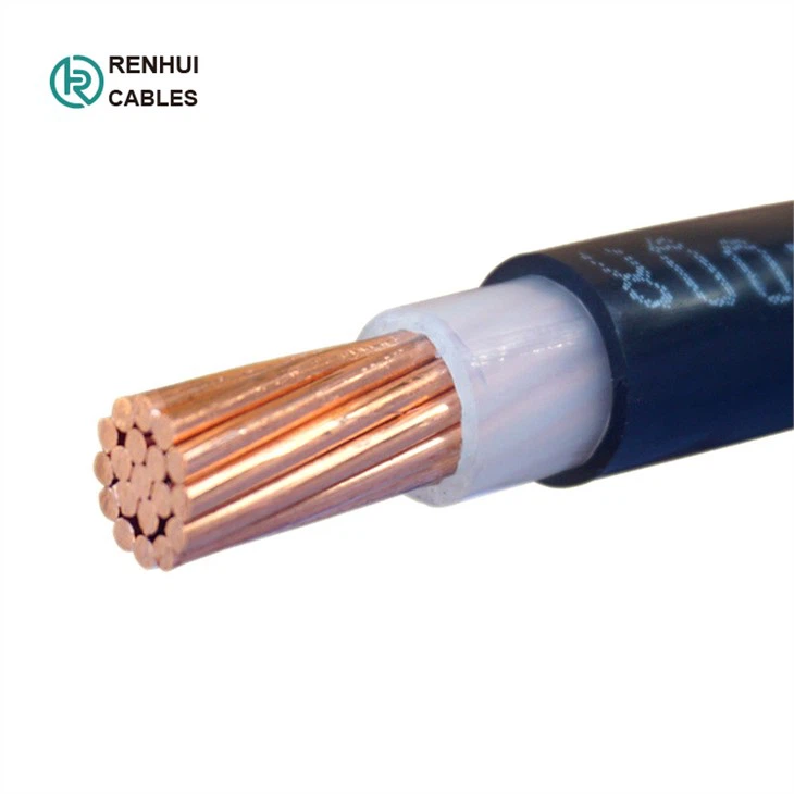 electric cable  (170)